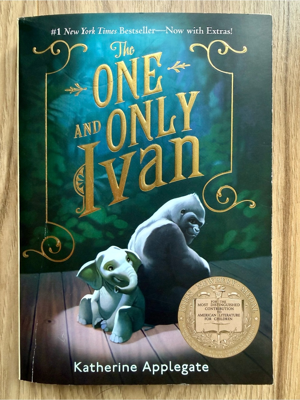 The One and Only Ivan Book